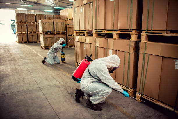 Best Flea Control Services  in Plafield, IN