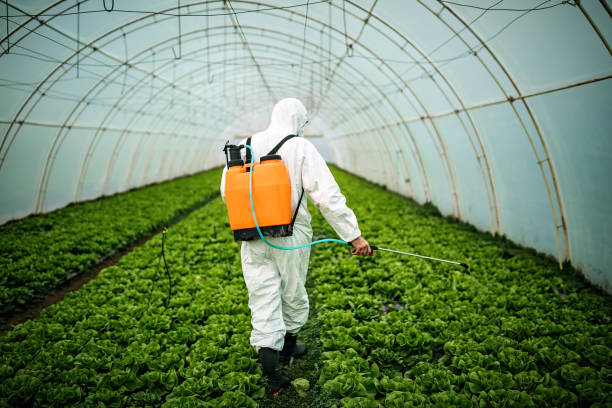 Best Best Pest Control Near Me  in Plafield, IN