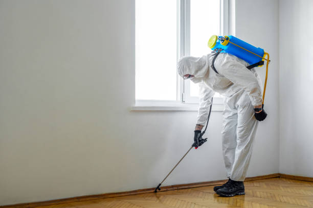Best Bed Bug Extermination  in Plafield, IN