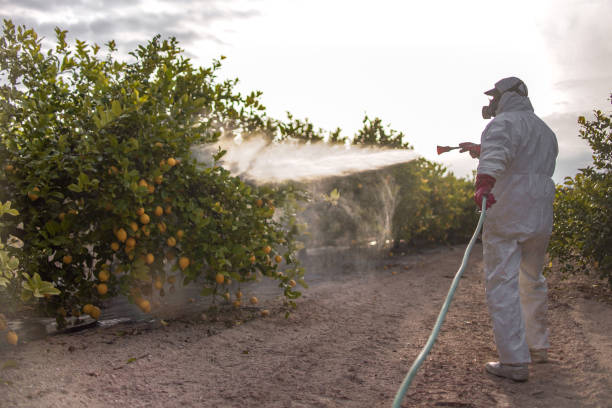 Best Wildlife Control Services  in Plafield, IN