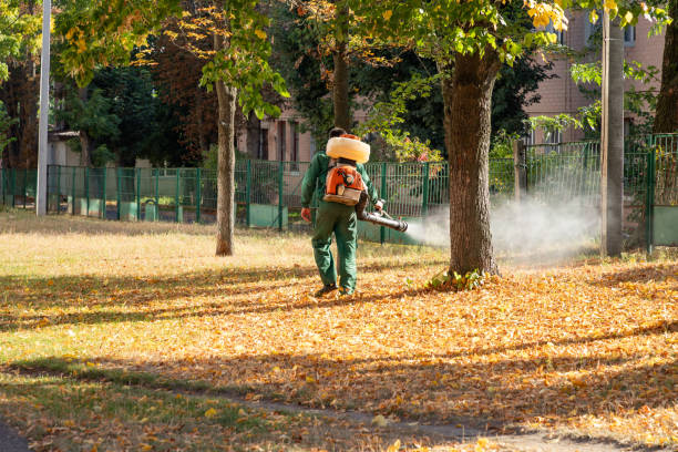 Best Pest Prevention Services  in Plafield, IN