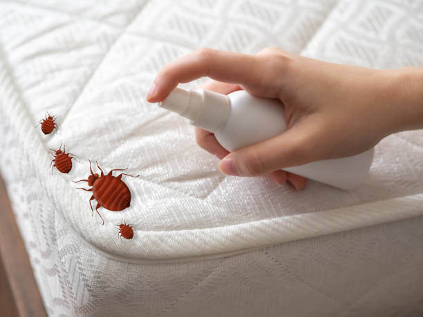 Best Exterminator Services  in Plafield, IN