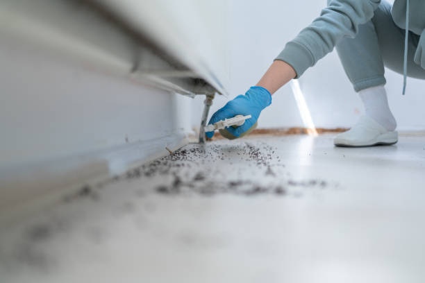 Best Insect Control  in Plafield, IN